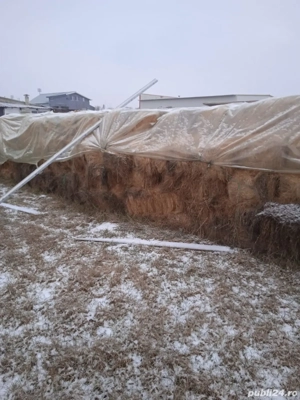 Fan de iarba  vânzare 