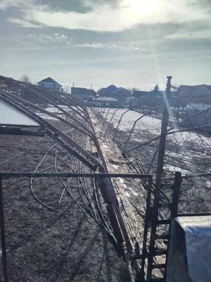 Solarii pentru legumicultură sau flori 