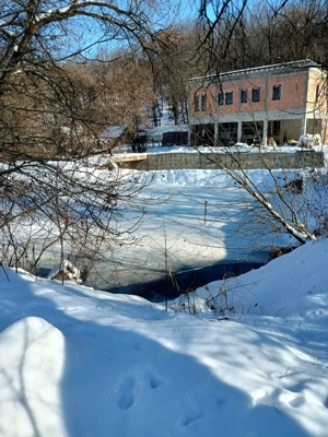 Vânzare floresti - imagine 2