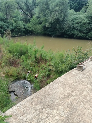 Vânzare floresti - imagine 4