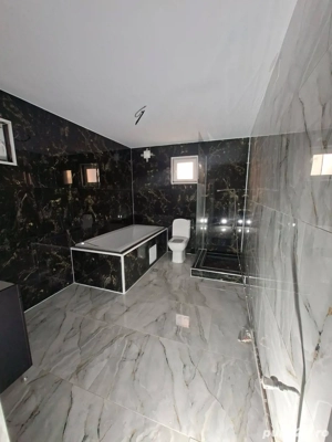 mesriașul  - imagine 3