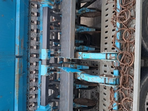 semanatoare grau  - imagine 5