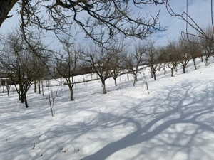 Teren intravilan 1.907 mp  Corunca, zonă TOP, lotizabil - imagine 4