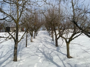 Teren intravilan 1.907 mp  Corunca, zonă TOP, lotizabil - imagine 7