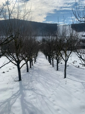 Teren intravilan 1.907 mp  Corunca, zonă TOP, lotizabil - imagine 8