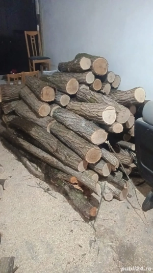 lemn esenta tare , bagrin fag 