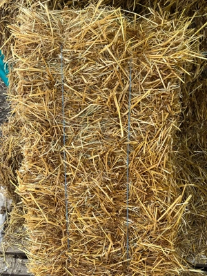 Baloți paie de ovăz și orzoaică cu iarbă  - imagine 2