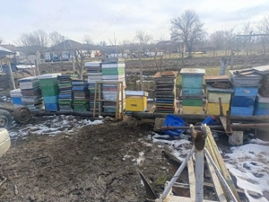 Lazi de stupi folosite - imagine 2