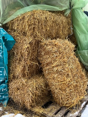 Baloți paie de ovăz și orzoaică cu iarbă  - imagine 4