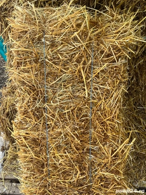 Baloți paie de ovăz și orzoaică cu iarbă 