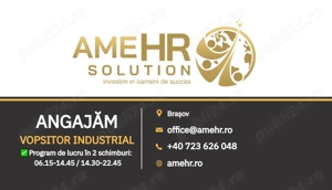 Angajăm Vopsitor industrial 