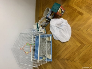 Perus colivie mancare - imagine 4