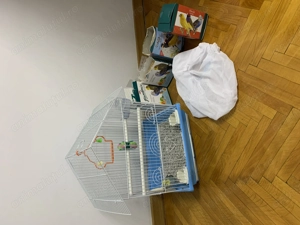 Perus colivie mancare