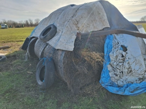 Vand baloti gorbaciov Mari fan cu lucerna 