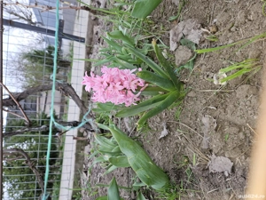 casa de vanzare (schimb cu ap. in Buc.) - imagine 9