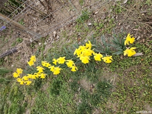 casa de vanzare (schimb cu ap. in Buc.) - imagine 10