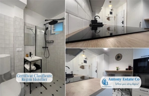 Investitie R. Hotelier - Apartament 2 camere Ultra Central Oradea - imagine 11