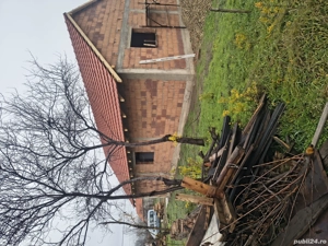 Case de vânzare în comuna Tormac  - imagine 5