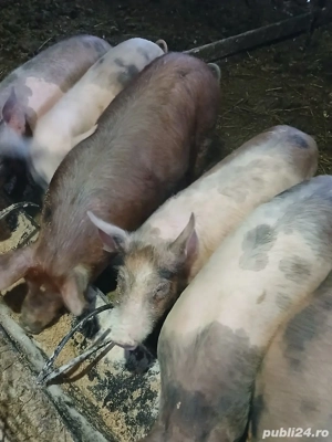 De Vânzare  - imagine 5