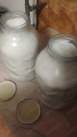 Vand untura porc casa, prospata, facuta acum 1 saptamana