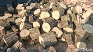 lemne de foc fag salcam 