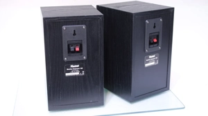 Boxe raft Magnat Monitor 100(2x55W).