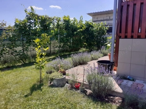 casa de vanzare intr-o zona mirifica - imagine 2