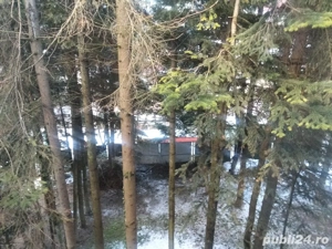 Sinaia inchiriez garsoniera  si cabana A frame - imagine 4
