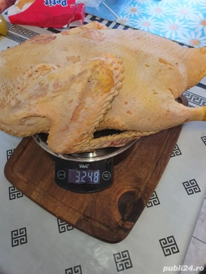 Rata de casa - imagine 2