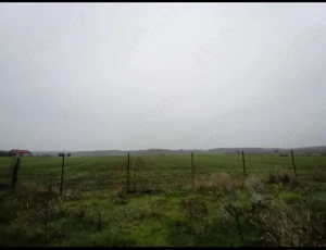 Casă + 1700 m  teren în Vitănești, Teleorman   35.000   (negociabil) - imagine 5