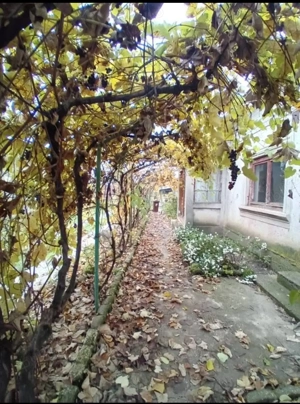 Casă + 1700 m  teren în Vitănești, Teleorman   35.000   (negociabil) - imagine 3