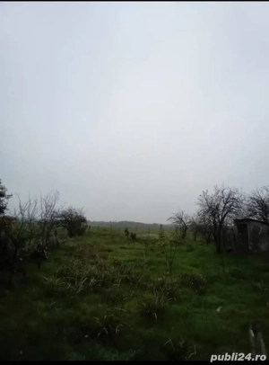 Casă + 1700 m  teren în Vitănești, Teleorman   35.000   (negociabil) - imagine 8