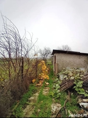 Casă + 1700 m  teren în Vitănești, Teleorman   35.000   (negociabil) - imagine 9