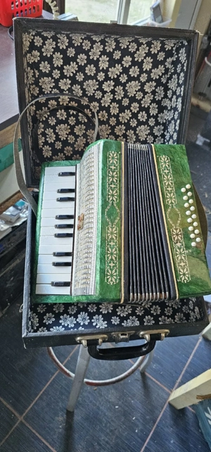 acordeon copii rusesc 