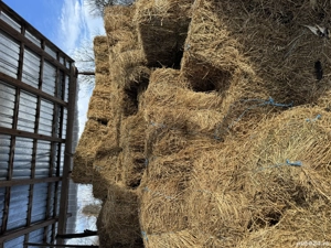 Vând baloți de lucernă 2025