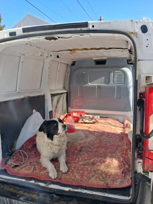 Vând Peugeot Expert  - imagine 5