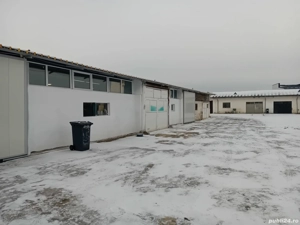 Hale de inchiriat - imagine 4