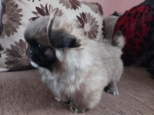 Băiat cu 2 vaccine făcute si carnet de sănatate