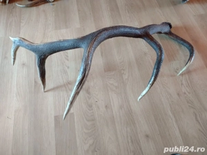 vand   CORN - imagine 4