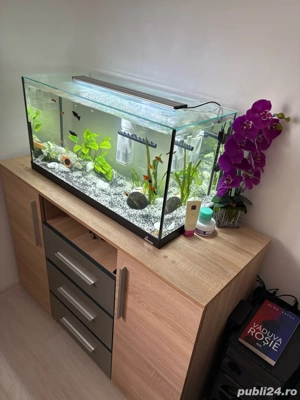 Vand Acvariu de 120 Litri Complect