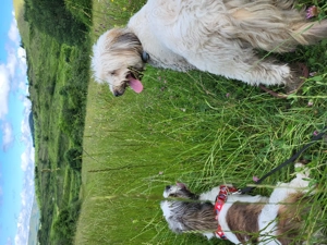 A Doua Casa Pentru Blanosul Tau in Cluj