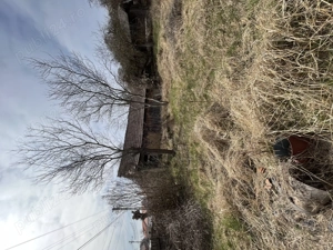 De vânzare   Casă cu teren în comuna Blandiana, județul Alba - imagine 8