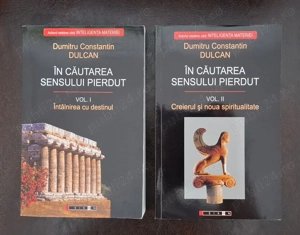 În căutarea sensului pierdut, volumul I+II  - Dumitru Constantin Dulcan