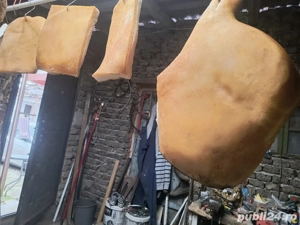 Afum carne și produse din carne 