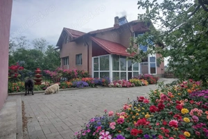 Casa de vânzare mobilată 