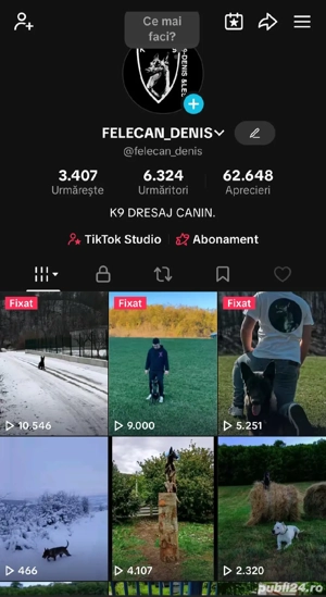 servicii dresaj canin - imagine 2