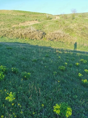 Teren intravilan Cluj, Zona Campenesti - imagine 7