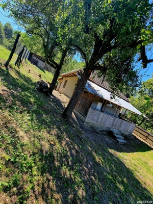 Vând gospodarie la preț de garsonieră 