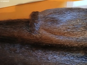 Vand haina de Nutri noua! - imagine 2