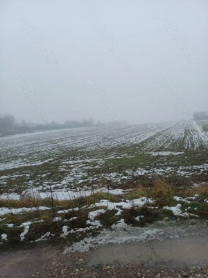 Vând două terenuri intravilane,in Comuna Suseni, Județul  Argeș  - imagine 4